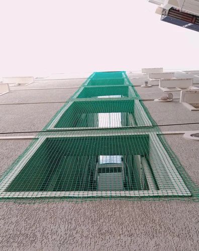 Pigeon Nets